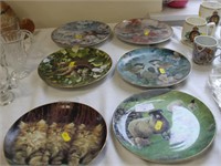 6 collectors plates, birds, sheep,kittens