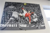 Wayne Rooney goalof year 2011