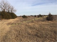 Tract 2- Home & 10 Acres