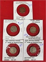 Five Early Date Buffalo Nickels