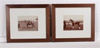 2 Early 20th C Prized Horse Photographs