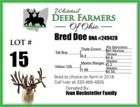 Blue 751 doe bred to choice on farm