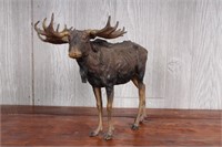 Large Austrian Bronze Moose