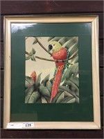 ORIGINAL PARROT WATER COLOR SIGNED SHIRRELL GRAVES