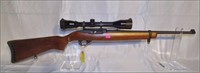 Ruger .22 rifle