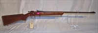 Winchester .22 rifle