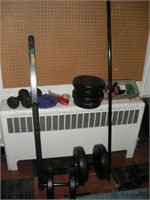 Dumbell-Barbell & Weights1 Lot