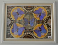 Butterfly Framed Artwork