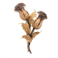 A Lady's 18K Double Thistle Brooch by Buccellati