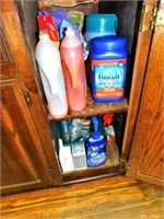 Cleaning Products in Cabinet
