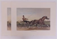 Traditional Editions Horse Prints