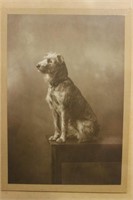 Vintage Portrait on Card Stock of Fox Terrier