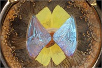 Butterfly Wing Ash Tray