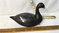 Wooden Coot