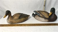 Mallard Ducks Composite