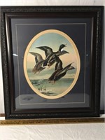 Framed Old Duck Print