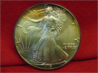 (1) 1995 American Eagle Dollar