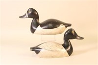 Ernest Roth Pair of Hen and Drake Bluebill Duck