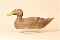 Extremely Rare Evans Decoy Factory Black Duck
