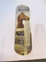 The Doctor is In Horse Thermometer