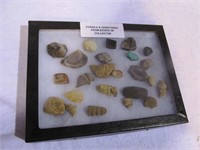 Fossils and Gemstones from Collector Estate