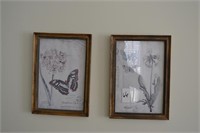 set butterfly prints
