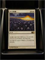 Leyline of Sanctity (S- Chinese) - NM