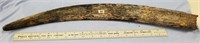 Black fossilized ancient walrus tusk, 24.5" long,