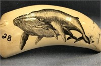 5.5' scrimmed whale tooth         (k 58)