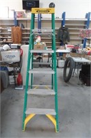 Werner Folding Ladder