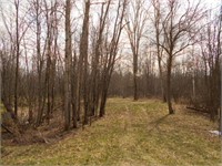 39 Acres Hunting Woods Blackash Algoma Wis