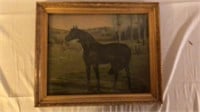 Old horse picture