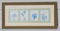 Art - Framed Art - (Herbarium 1)