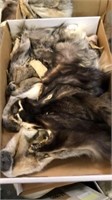 Box of darker fur heads