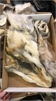 Box of fur heads