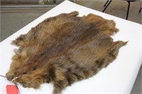 Beaver Fur