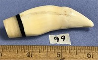 A very large polar tooth, 3 1/2" with a baleen acc
