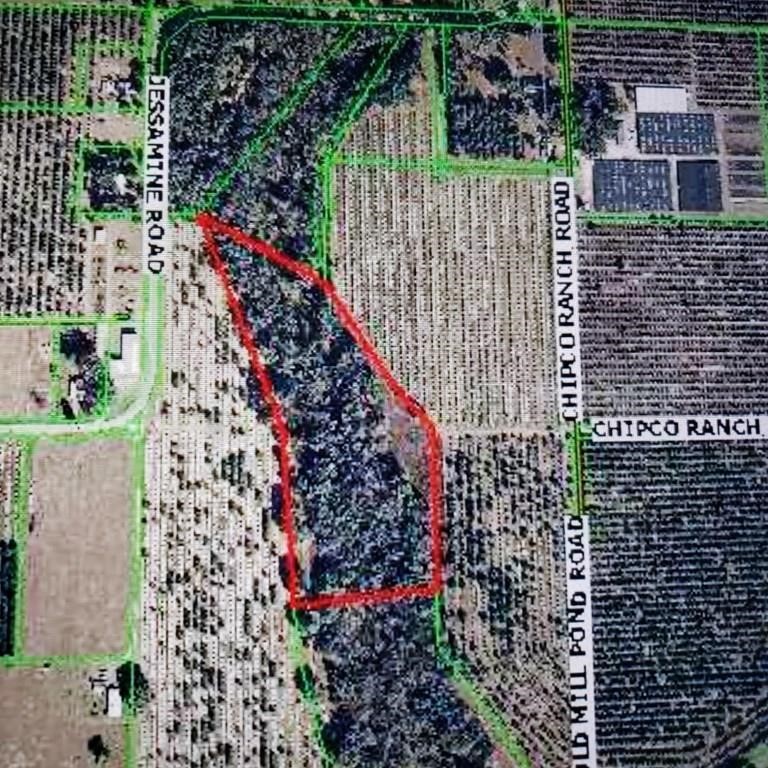 10 Acres Chipco Ranch Dade City FL 33523