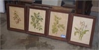 Four Vtg Framed Botanical Prints