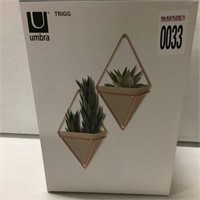 UMBRA WALL VESSELS