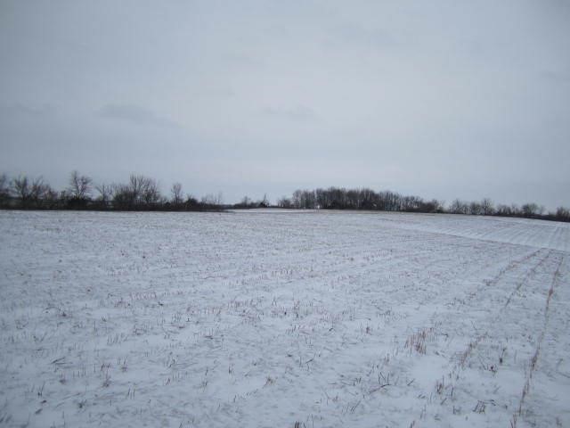Online Only - 48 ac m/l Mercer County