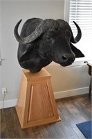 Water buffalo mount