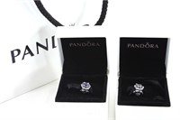 Pandora Beads / Charms