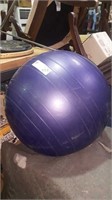Purple exercise ball