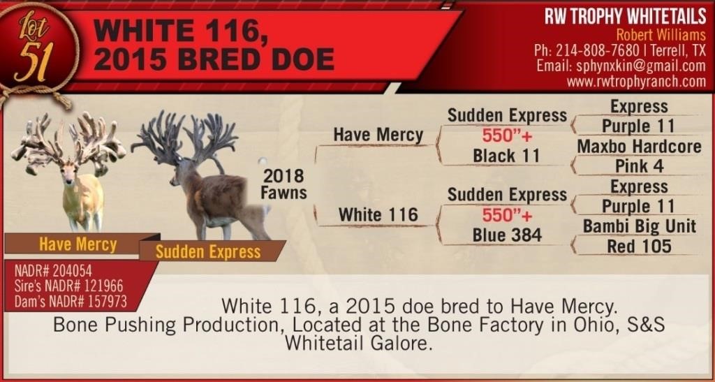 NADeFa 2018 Spring Open Whitetail Deer Auction