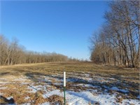 Tract 4 - 30+/- Acres, 5.57 Tillable, 9.6 CRP,