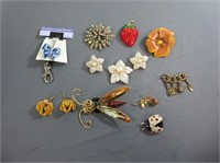 Costume Pins and Earrings