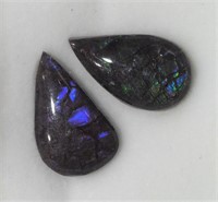 Genuine Canadian ammolite gemstones
