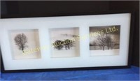 black and white tree scenery pictures framed