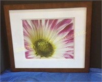 Framed  flower picture